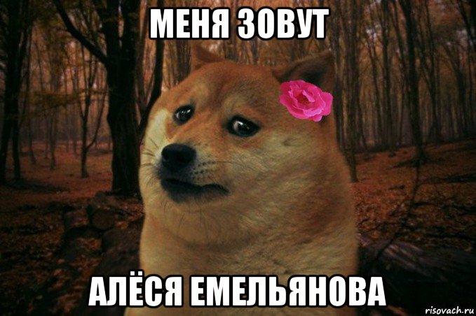 меня зовут алёся емельянова, Мем  SAD DOGE GIRL