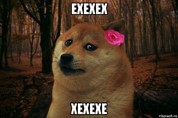 ехехех хехехе, Мем  SAD DOGE GIRL