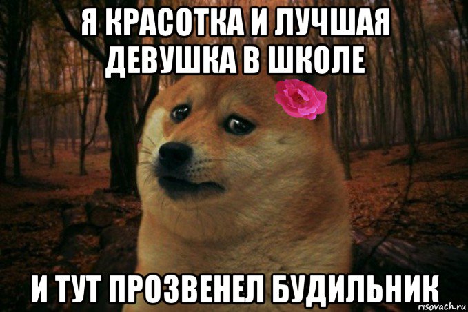 я красотка и лучшая девушка в школе и тут прозвенел будильник, Мем  SAD DOGE GIRL