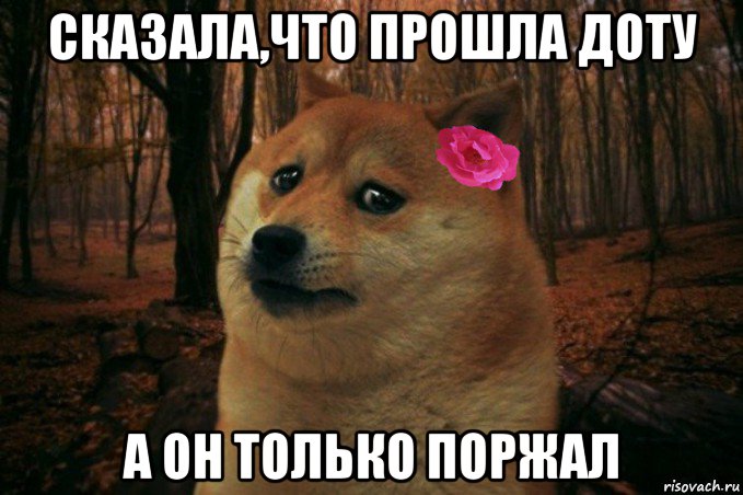 сказала,что прошла доту а он только поржал, Мем  SAD DOGE GIRL