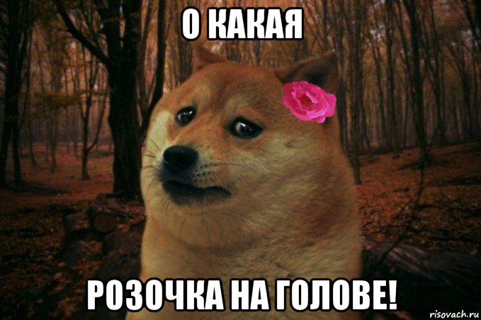 о какая розочка на голове!, Мем  SAD DOGE GIRL