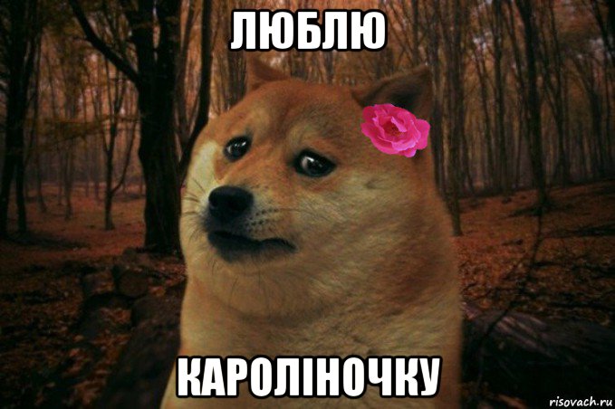 люблю кароліночку, Мем  SAD DOGE GIRL