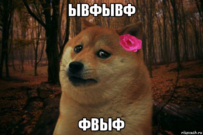 ывфывф фвыф, Мем  SAD DOGE GIRL