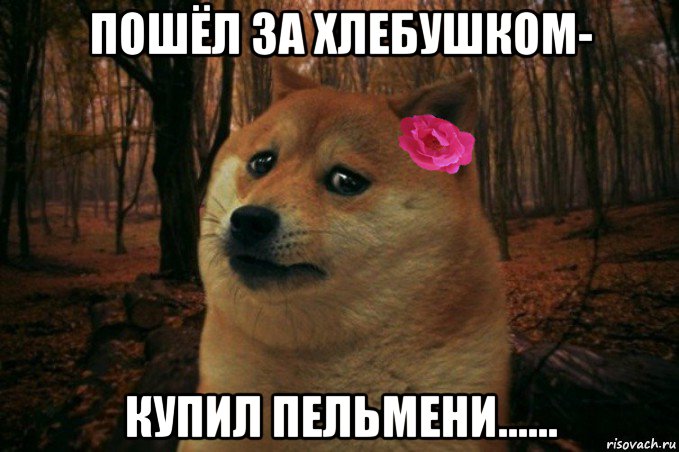 пошёл за хлебушком- купил пельмени......, Мем  SAD DOGE GIRL