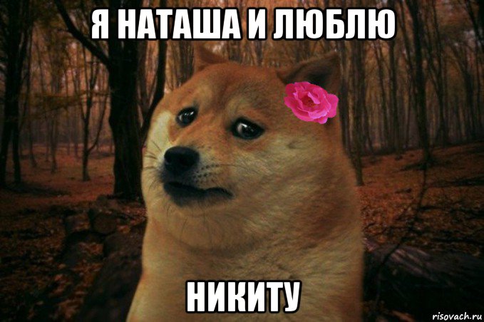 я наташа и люблю никиту, Мем  SAD DOGE GIRL