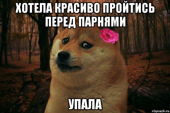 хотела красиво пройтись перед парнями упала, Мем  SAD DOGE GIRL