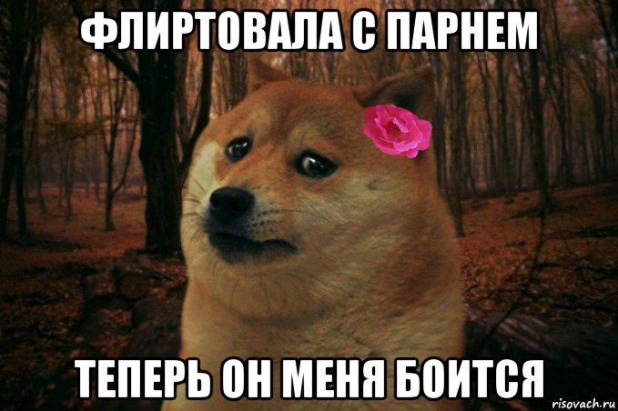 флиртовала с парнем теперь он меня боится, Мем  SAD DOGE GIRL