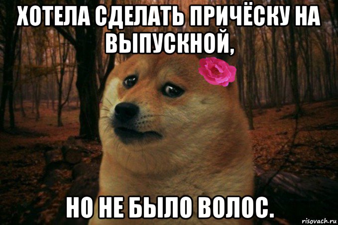 хотела сделать причёску на выпускной, но не было волос., Мем  SAD DOGE GIRL