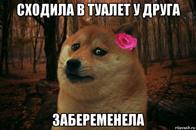 сходила в туалет у друга забеременела, Мем  SAD DOGE GIRL