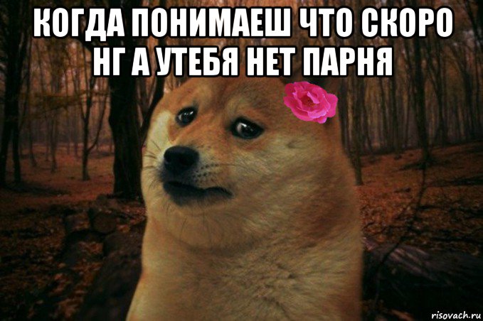 когда понимаеш что скоро нг а утебя нет парня , Мем  SAD DOGE GIRL