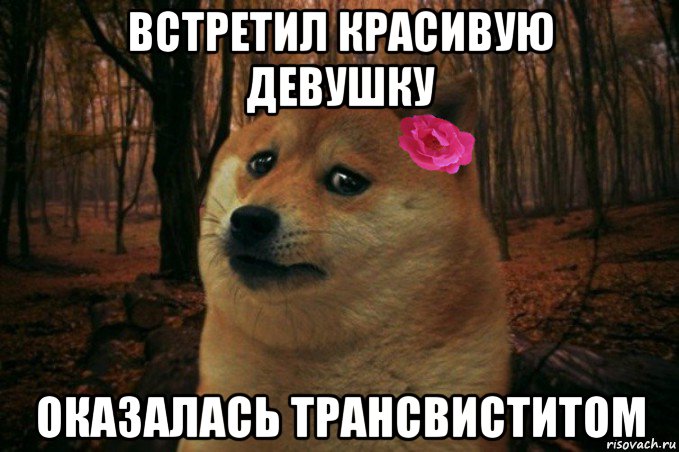 встретил красивую девушку оказалась трансвиститом, Мем  SAD DOGE GIRL