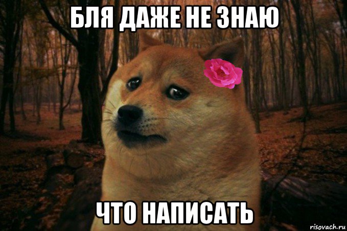 бля даже не знаю что написать, Мем  SAD DOGE GIRL