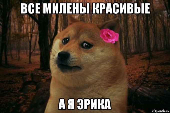 все милены красивые а я эрика, Мем  SAD DOGE GIRL