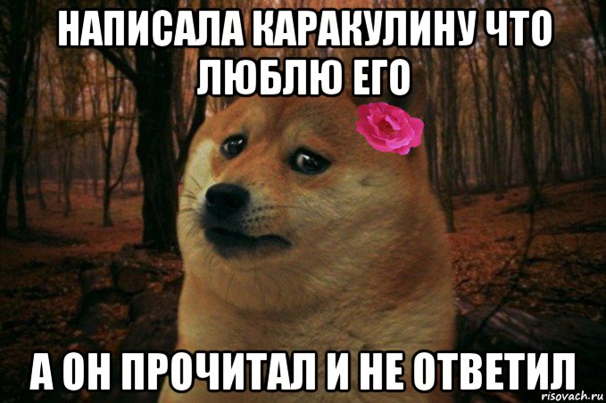 написала каракулину что люблю его а он прочитал и не ответил, Мем  SAD DOGE GIRL