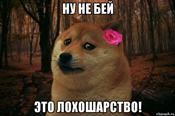 ну не бей это лохошарство!, Мем  SAD DOGE GIRL