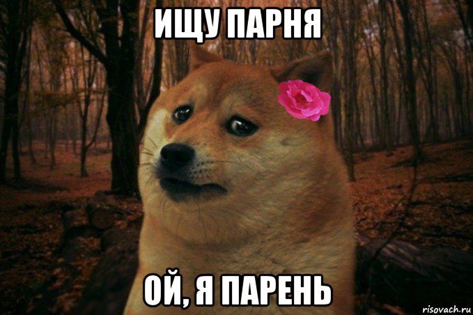 ищу парня ой, я парень, Мем  SAD DOGE GIRL