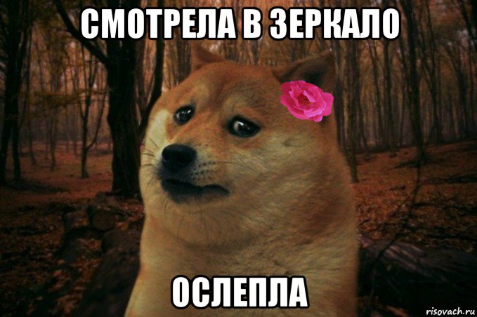 смотрела в зеркало ослепла, Мем  SAD DOGE GIRL