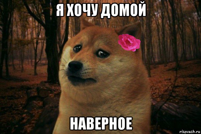 я хочу домой наверное