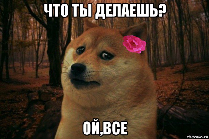 что ты делаешь? ой,все, Мем  SAD DOGE GIRL