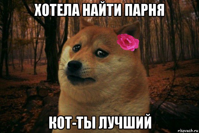 хотела найти парня кот-ты лучший, Мем  SAD DOGE GIRL