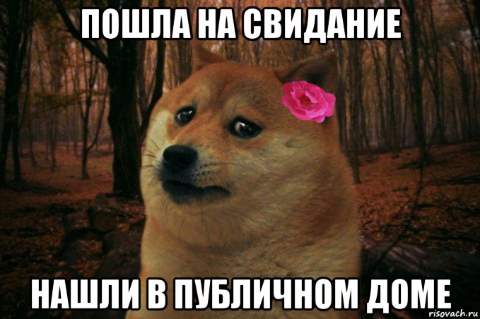 пошла на свидание нашли в публичном доме, Мем  SAD DOGE GIRL