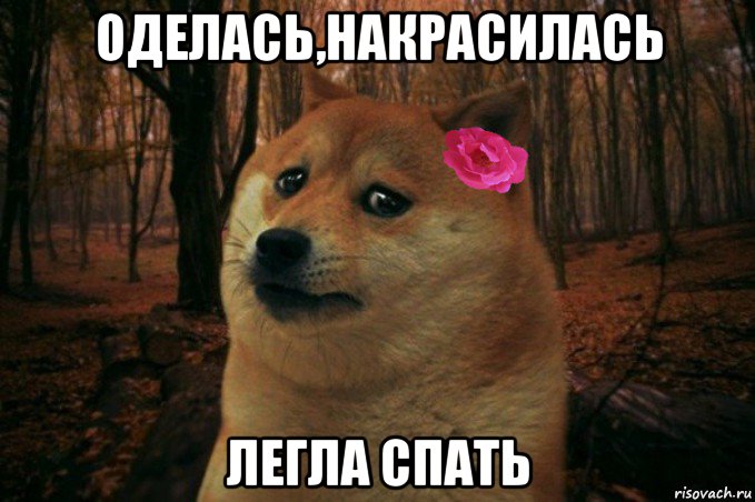 оделась,накрасилась легла спать, Мем  SAD DOGE GIRL