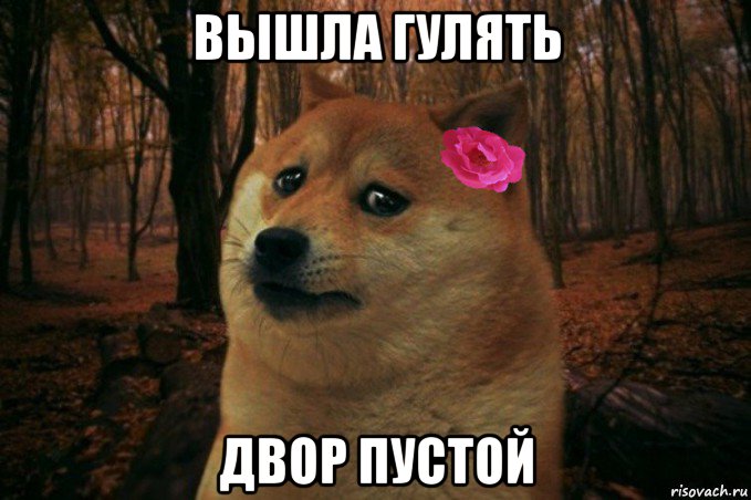 вышла гулять двор пустой, Мем  SAD DOGE GIRL