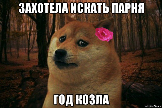 захотела искать парня год козла, Мем  SAD DOGE GIRL