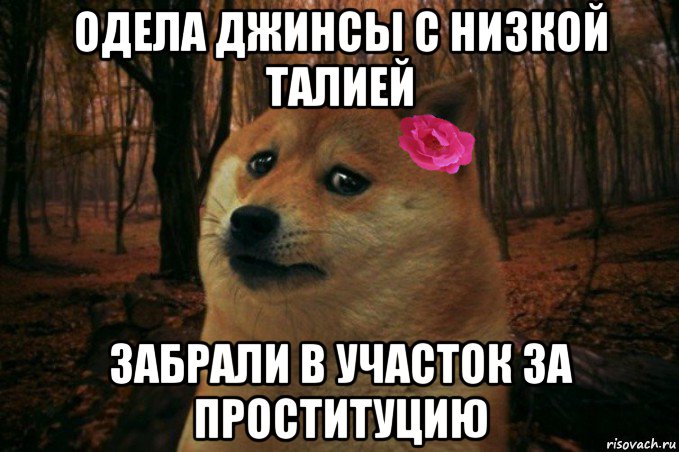 одела джинсы с низкой талией забрали в участок за проституцию, Мем  SAD DOGE GIRL