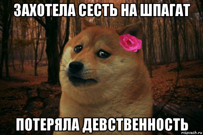 захотела сесть на шпагат потеряла девственность, Мем  SAD DOGE GIRL