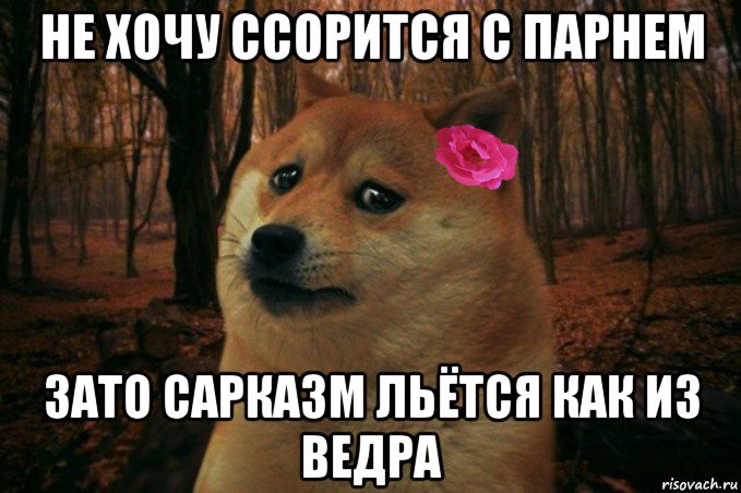 не хочу ссорится с парнем зато сарказм льётся как из ведра, Мем  SAD DOGE GIRL