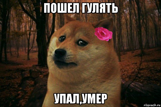 пошел гулять упал,умер, Мем  SAD DOGE GIRL