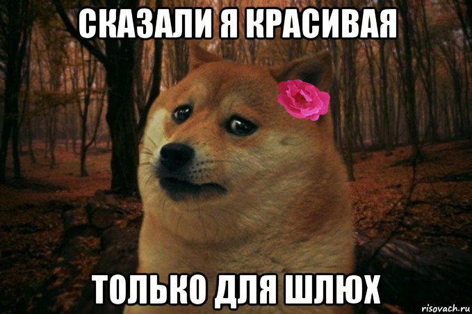 сказали я красивая только для шлюх, Мем  SAD DOGE GIRL