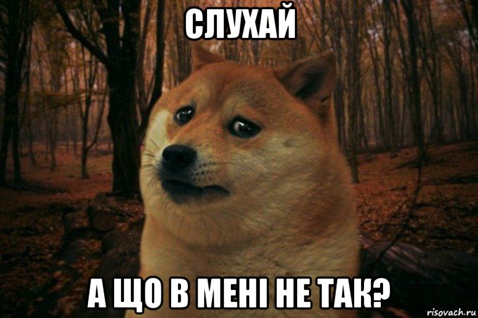 слухай а що в мені не так?, Мем SAD DOGE