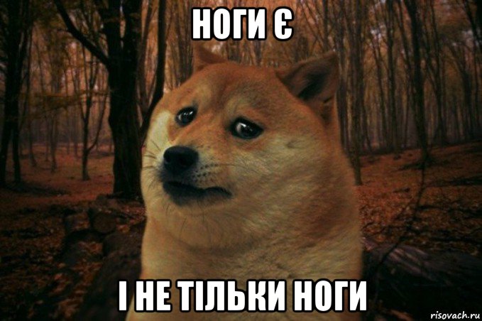 ноги є і не тільки ноги, Мем SAD DOGE