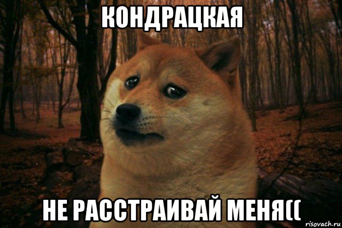 кондрацкая не расстраивай меня((, Мем SAD DOGE