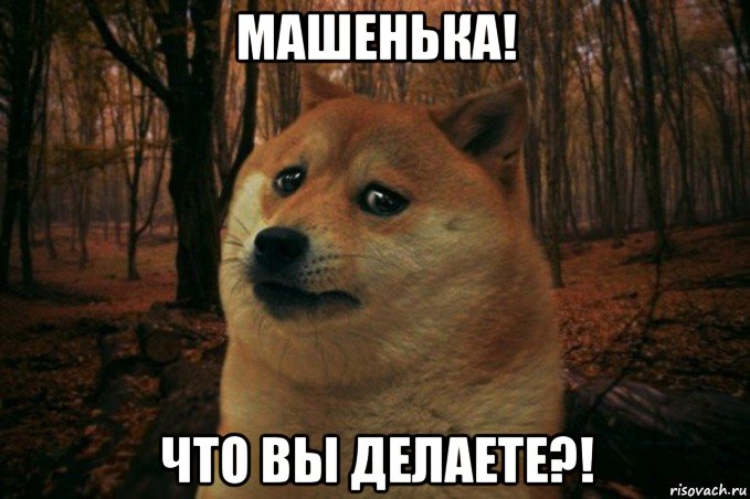 машенька! что вы делаете?!, Мем SAD DOGE