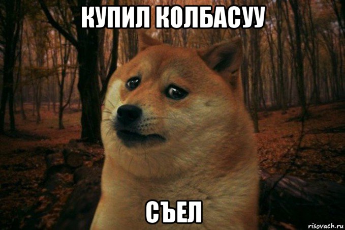 купил колбасуу съел, Мем SAD DOGE