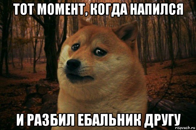 тот момент, когда напился и разбил ебальник другу, Мем SAD DOGE