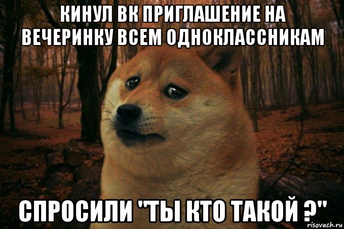 кинул вк приглашение на вечеринку всем одноклассникам спросили "ты кто такой ?", Мем SAD DOGE