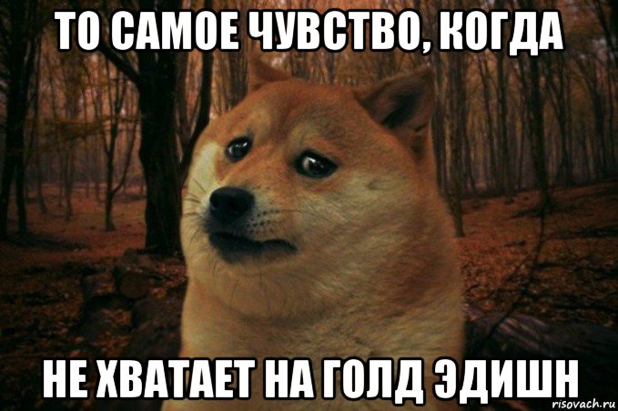 то самое чувство, когда не хватает на голд эдишн, Мем SAD DOGE