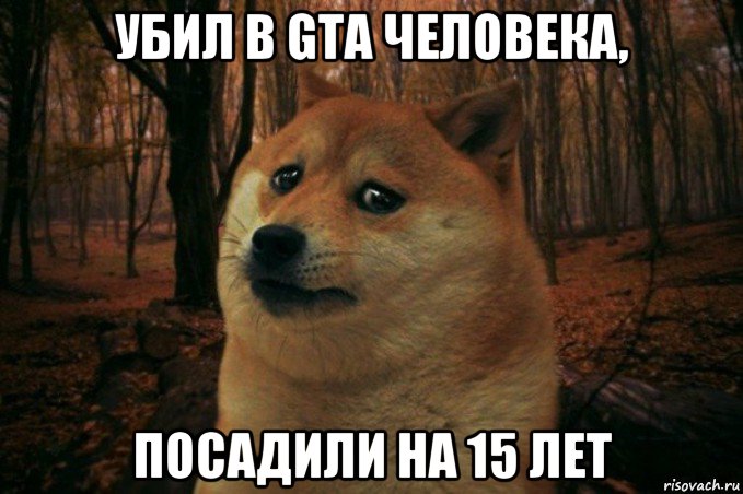 убил в gta человека, посадили на 15 лет, Мем SAD DOGE