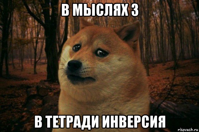 в мыслях 3 в тетради инверсия, Мем SAD DOGE