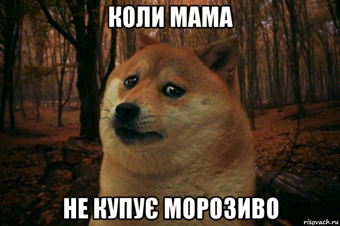 коли мама не купує морозиво, Мем SAD DOGE