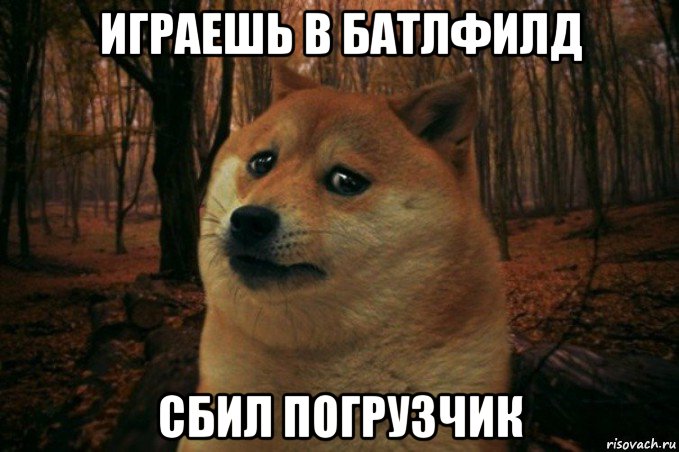 играешь в батлфилд сбил погрузчик, Мем SAD DOGE