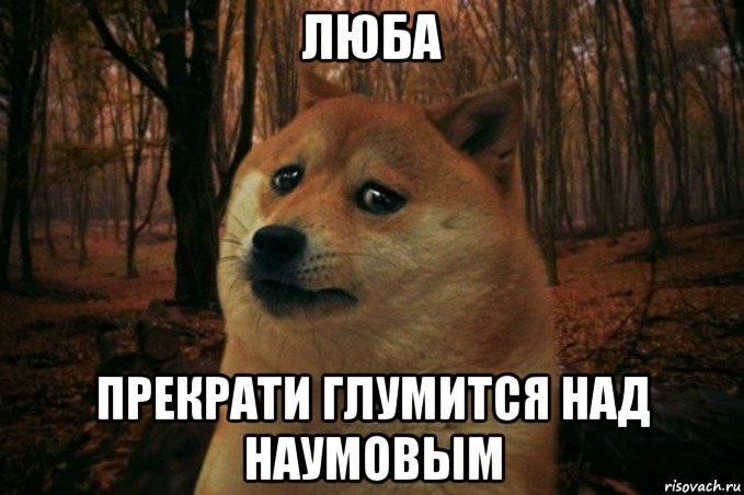 люба прекрати глумится над наумовым, Мем SAD DOGE