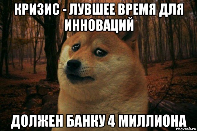 кризис - лувшее время для инноваций должен банку 4 миллиона, Мем SAD DOGE