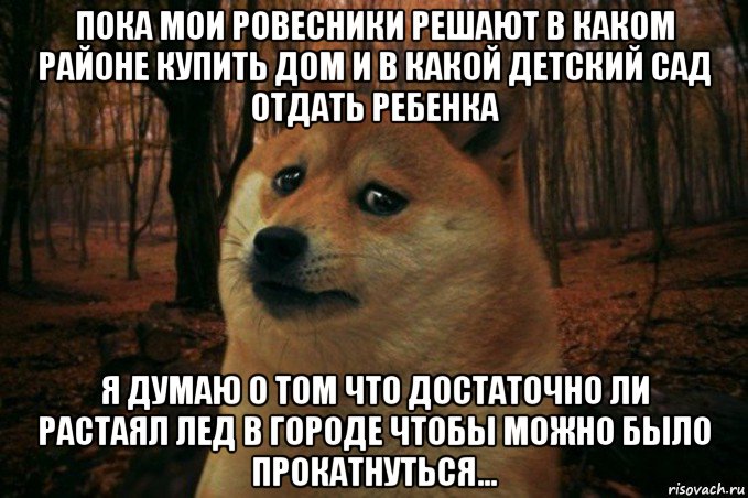 пока мои ровесники решают в каком районе купить дом и в какой детский сад отдать ребенка я думаю о том что достаточно ли растаял лед в городе чтобы можно было прокатнуться..., Мем SAD DOGE