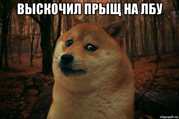 выскочил прыщ на лбу , Мем SAD DOGE