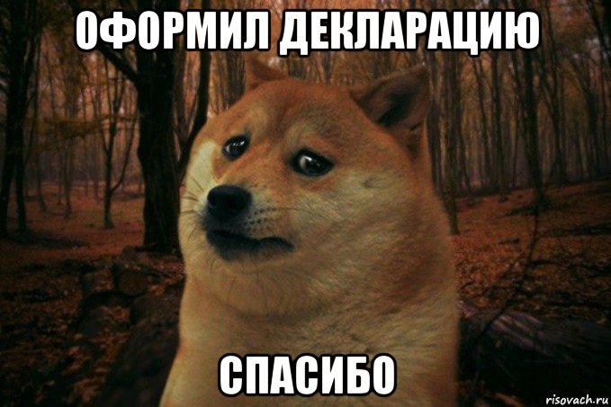 оформил декларацию спасибо, Мем SAD DOGE